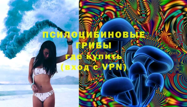 круглые Абаза