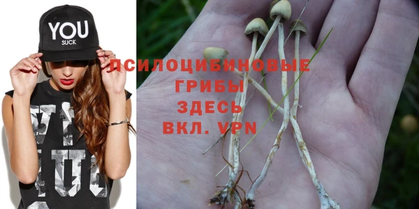 кокс Абинск