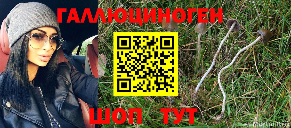 Киров  Галлюциногенные грибы мицелий  Псилоцибиновые грибы MAGIC MUSHROOMS  Вход с VPN 